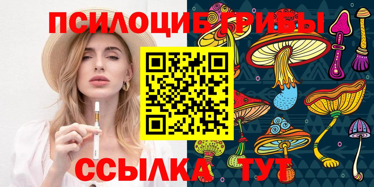 Галлюциногенные грибы прущие грибы Таганрог